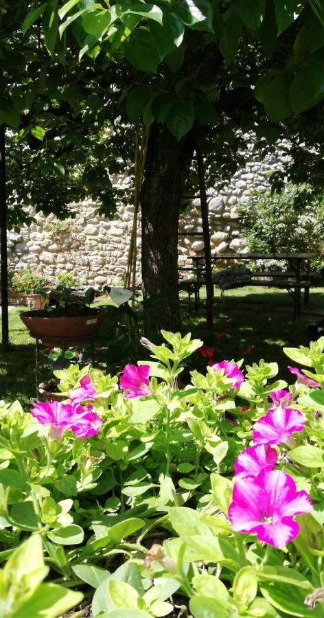 Agriturismo San Giovanni Ad Insulam Isola del Gran Sasso d'Italia Exterior photo